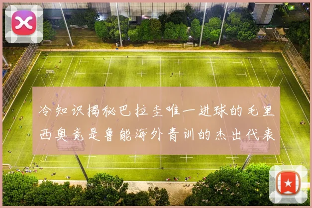冷知识揭秘巴拉圭唯一进球的毛里西奥竟是鲁能海外青训的杰出代表
