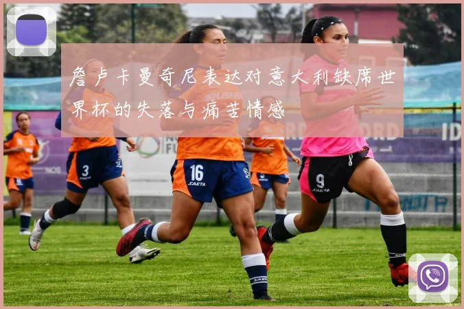 詹卢卡曼奇尼表达对意大利缺席世界杯的失落与痛苦情感